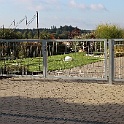 Tore_003.jpg