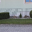 Zaeune_007.jpg